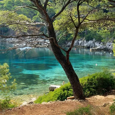 By The Sea Ubli, Lastovo - 8344