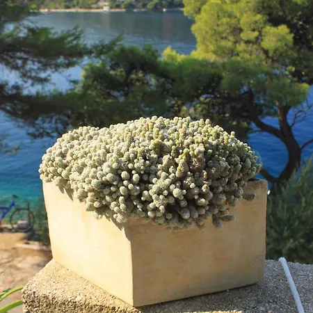 Apartment By The Sea Ubli, Lastovo - 8344 Uble