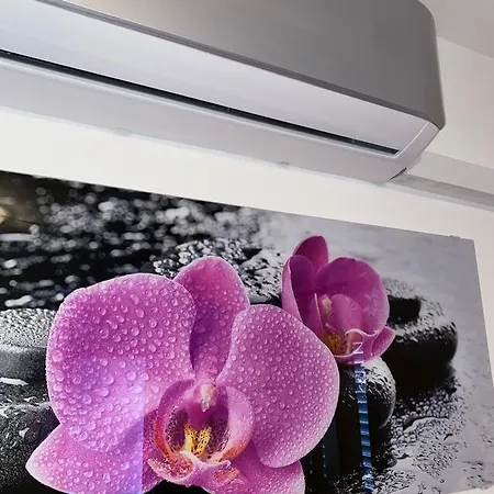 By The Sea Ubli, Lastovo - 8344 * Uble